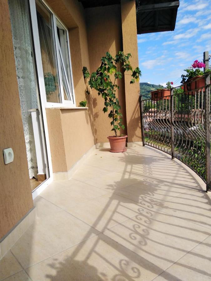 Casa Diana-Maria Apartment Curtea de Argeş Exterior foto