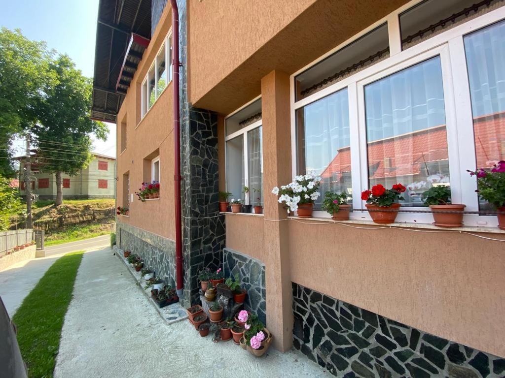 Casa Diana-Maria Apartment Curtea de Argeş Exterior foto