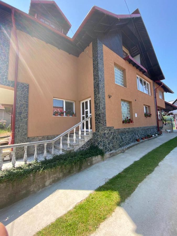 Casa Diana-Maria Apartment Curtea de Argeş Exterior foto