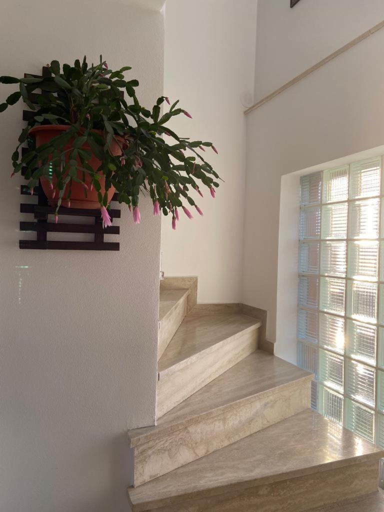 Casa Diana-Maria Apartment Curtea de Argeş Exterior foto